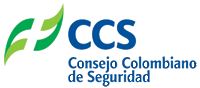 CSS